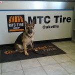 MTC Tire Oakville